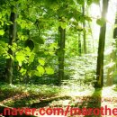 마로힐링요가아쉬람 이미지