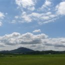 고촌농로 이미지