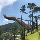 (주)여수예술랜드 이미지