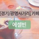 에셀빈 이미지