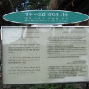 영주수도리박덕우가옥 Daum카페