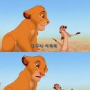 하쿠나마타타 이미지