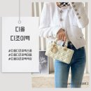 디.라떼(D.LATTE) | 디올 디조이백 라떼 스몰 가격 색상 비교!