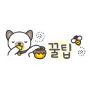 키즈car페 이미지