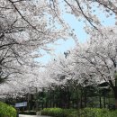 가재울 공원 이미지