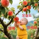 "홍하사의 잡다한 이야기"---(1585) "인생 이야기"---(408) (소문난 잔치 먹을게없다) &amp; (베트남?) 이미지
