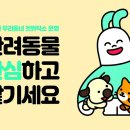 우리동네펫 이미지