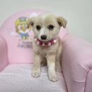 웅남동225 이미지