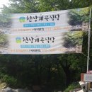 생금비리선재마을휴게소 | 청도 삼계리 천상계곡식당 당일치기 평상대여