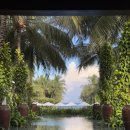 동호푸드 | Nhatrang 5 🪷 (더아남 깜란, 더아남버거, 배달K PT과일, 다이아몬드베이CC, 동호마트)