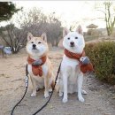 시간의 홀 이미지