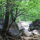 계곡&풍경 이미지