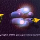 포포(For paw) 이미지