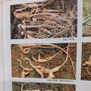 더클래식한의원 이미지