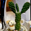 상황삼계탕 이미지