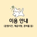 고양이의 봄, 묘랑묘랑 이미지