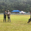 BG독케어센터 이미지