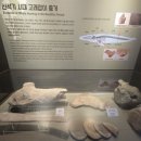 울산암각화박물관 이미지