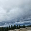 대성타이어 이미지