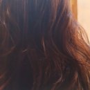 데일리샵 이미지