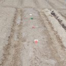 얼룩이농장 이미지