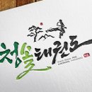 청솔태권도 이미지
