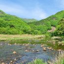 초강농장 이미지