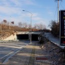 출판도시길 이미지