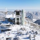 용평버치힐테라스레지던스콘도 이미지