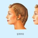 아르뜨의원 이미지