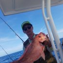 도시어부 이미지