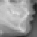 정성호치과의원 이미지