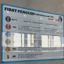 김해 키즈수영장, 어린이수영장 퍼스트펭귄, 2개월 후기