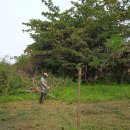 돈필농장 이미지