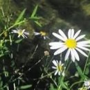 머물다가 이미지