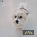 나봄스파 이미지