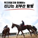 서부산승마랜드 헤럴드경제