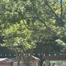 만수장 | 부산 계곡 식당 장안 만수장가든 아기랑 다녀온 후기