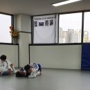 와이번 주짓수 합기도 이미지