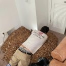 도토리우주선 이미지