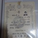 김종달농장 Daum카페