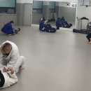 대한체육관 2도장(태권도) 이미지