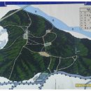 대신중고교 이미지