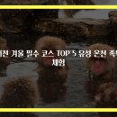 엘리체레저(유) 엘리체음식점 | 대전 겨울 필수 코스 TOP 5 유성 온천 족욕 체험