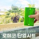 로페코 | 창문 열차단 단열필름 로페코 다마거 시트 셀프시공 후기