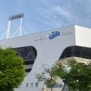 대구 삼성라이온즈파크 라팍 블루존 시야 직관 후기