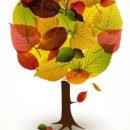 아이린의원 이미지