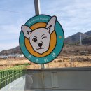 아이스홀릭 정관점 이미지