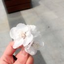 대구은행역 1번 출구 이미지