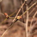 설월리약수터 이미지